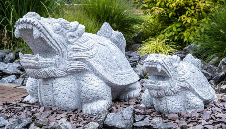 Granitstein "Drachenschildkröte"