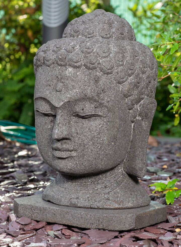 Indischer Buddhakopf