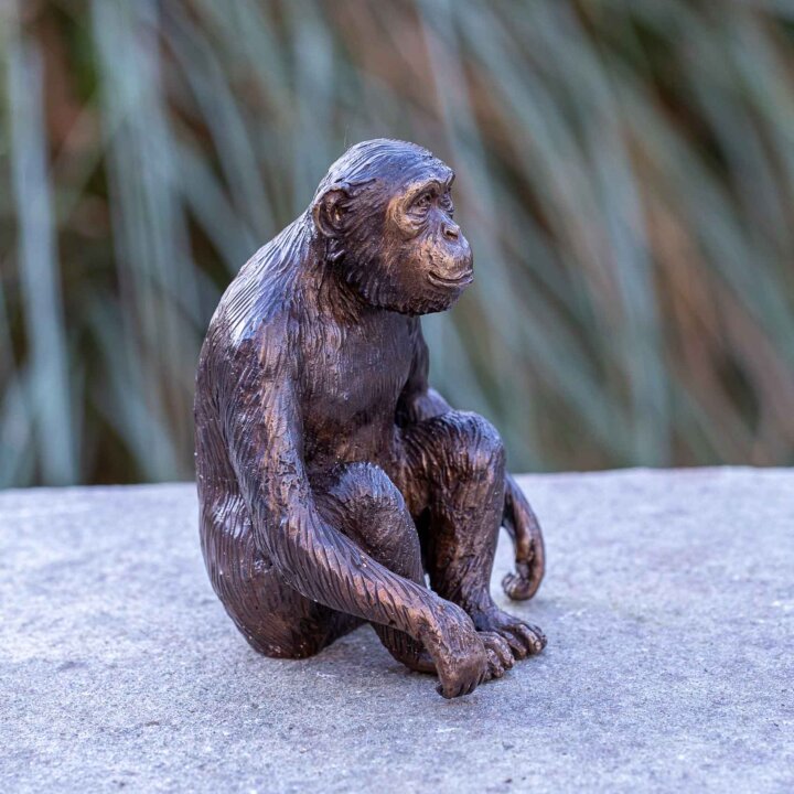 Bronze Figur "Schimpanse" – Bild 2