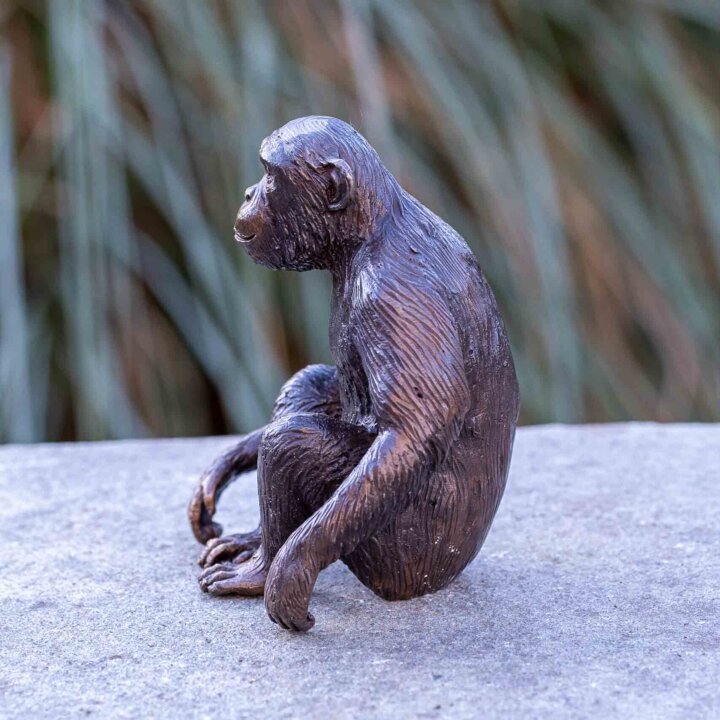 Bronze Figur "Schimpanse" – Bild 3