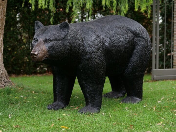 Bär