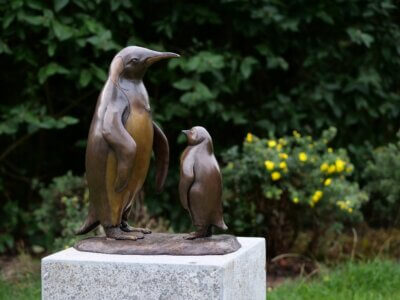 Pinguin und baby