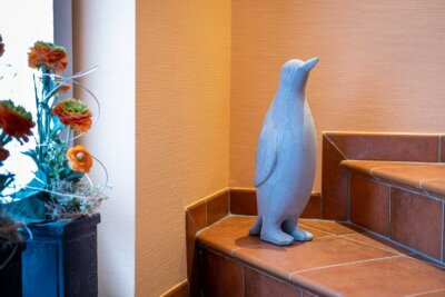 Pinguin Grau