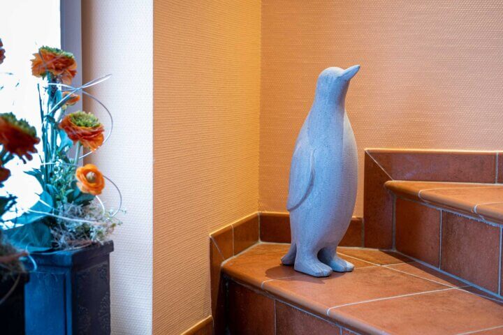 Pinguin Grau