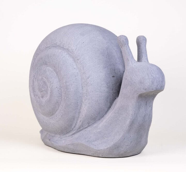 Schnecke Grau – Bild 5