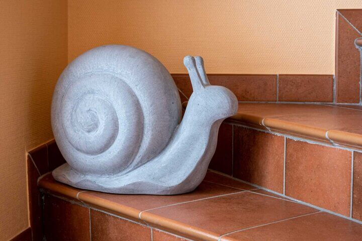 Schnecke Grau – Bild 3