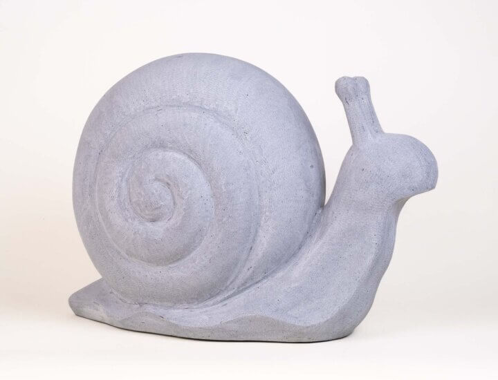 Schnecke Grau – Bild 6