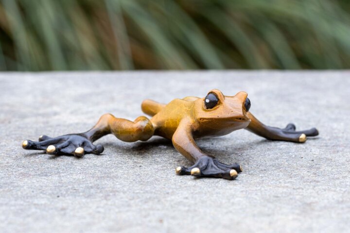 Bronze Figur Frosch – Bild 2