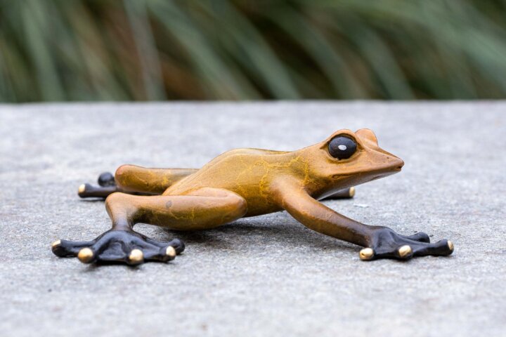 Bronze Figur Frosch
