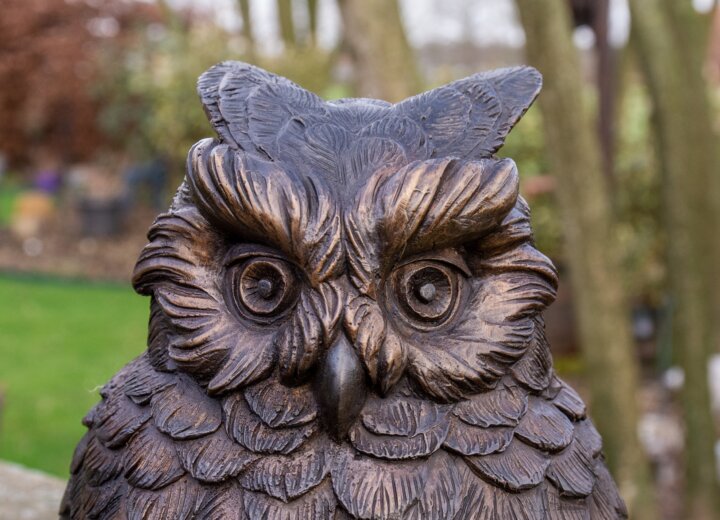 Bronze Figur Eule – Bild 7