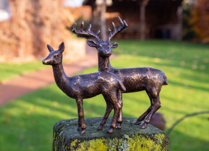 Bronze Skulptur Hirsch und Reh stehend – Bild 3